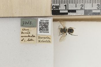 Media type: image;   Entomology 792434 Aspect: Labels